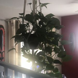 Meet your Posher, Lindsay